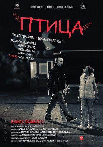 The Bird (2017) poster