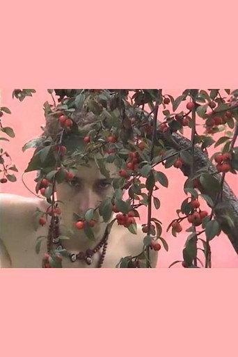 The Faery Garden (2008) poster