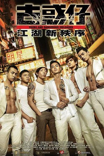 Young and Dangerous: Reloaded (2013) poster