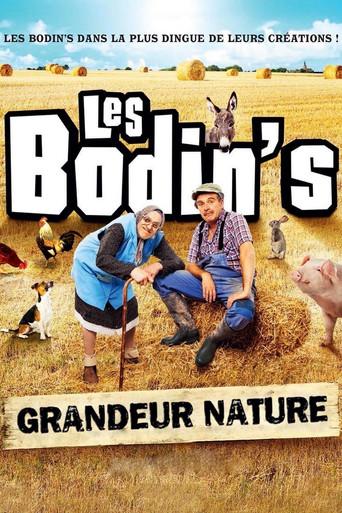 Les Bodin's : Grandeur Nature (@Zenith de Limoges) (2016) poster