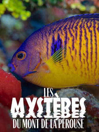 The mysteries of Mont La Pérouse (2021) poster