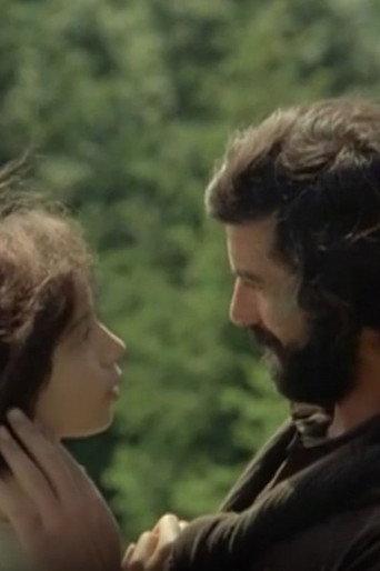 L'ultraviolence dans le cinéma d'Eric Rohmer (2024) poster