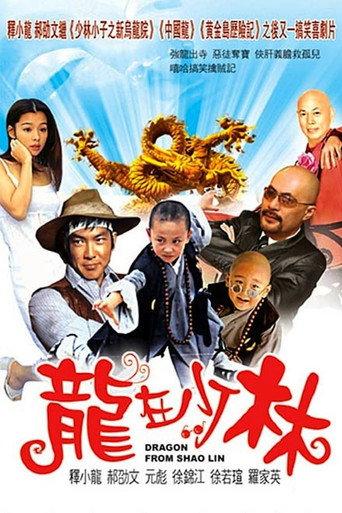 Dragon from Shaolin (1996) poster