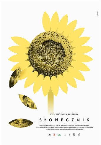 Sunflower (2024) poster