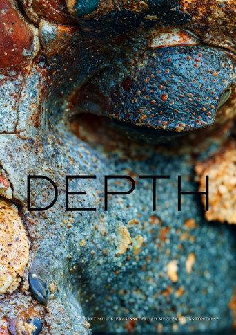 Depth () poster