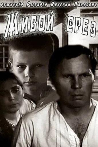Living Slice (1978) poster