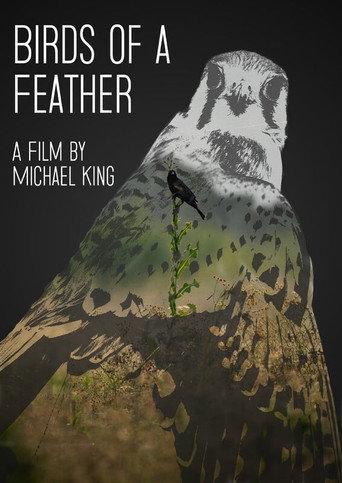 Birds of a Feather () poster