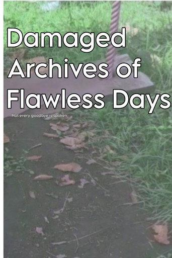 Damaged Archives of Flawless Days (2026) poster
