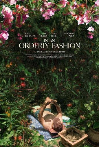 In An Orderly Fashion () poster