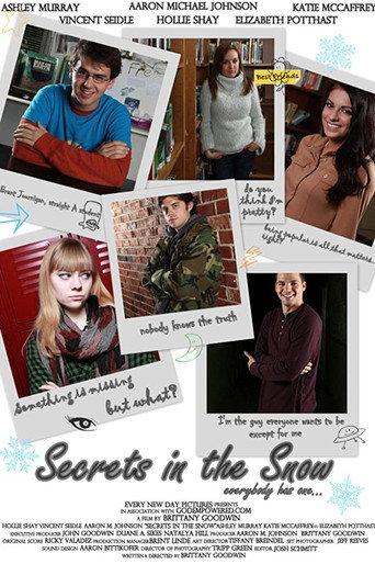 Secrets in the Snow (2013) poster