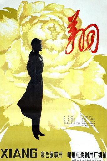 翔 (2010) poster