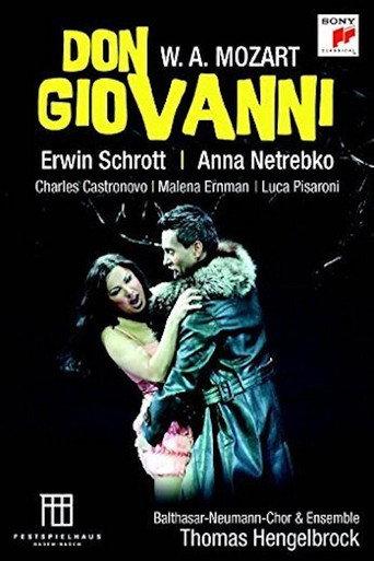 Mozart Don Giovanni (2013) poster