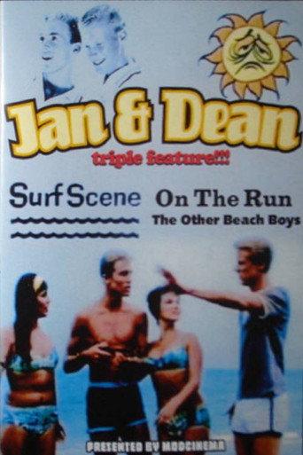 Jan & Dean: On the Run (1966) poster