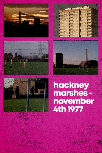 Hackney Marshes – November 4th 1977 (1977) poster
