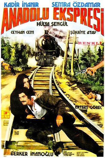 Anadolu Ekspresi (1973) poster