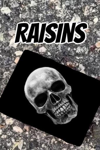 Raisins (2026) poster