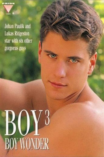 Boy 3: Boy Wonder (1995) poster