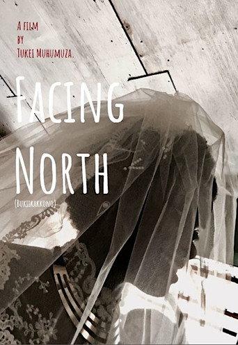 Facing North (2018) poster