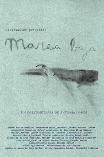 Low Tide (2010) poster