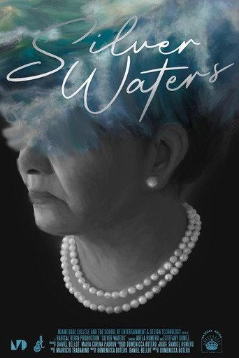 Silver Waters () poster