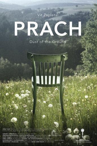 Dust of the Ground (2016) poster