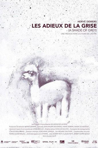 A Shade of Grey (2013) poster