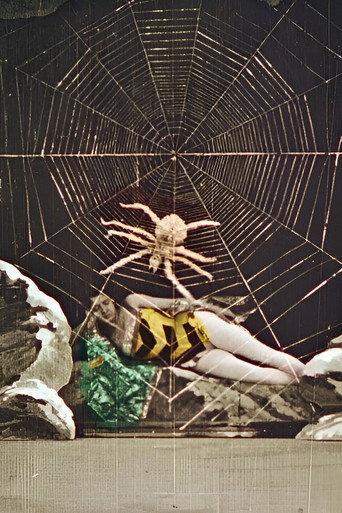 Wonderful Beehive (1905) poster