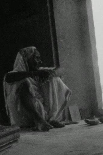 Va, Regarde - 2 (2009) poster