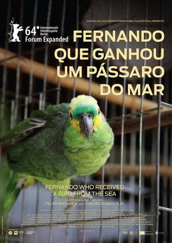 Fernando Who Received a Bird from the Sea (2014) poster