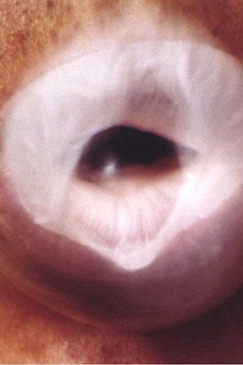 Expand Constantly (2000) poster