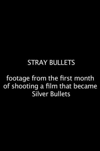 Stray Bullets (2012) poster