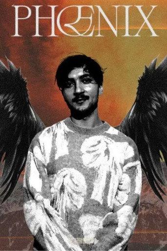 Phoenix : Les Origines (2024) poster