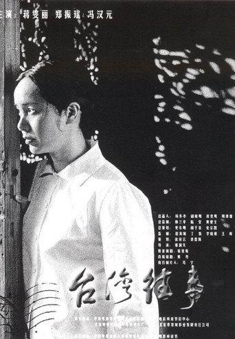 My Bittersweet Taiwan (2004) poster