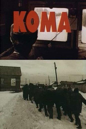 Coma (1990) poster