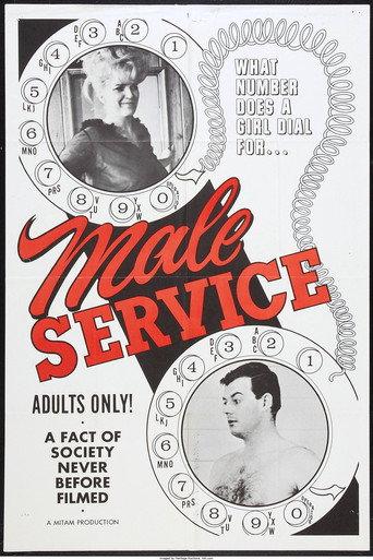Male Service (1966) poster