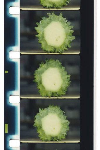 Chopping Fruits and Vegetables (2016) poster