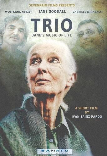 Trio. Jane's Music of Life (2015) poster