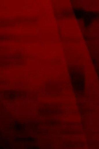 nszra (2002) poster