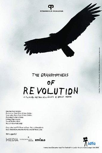 The Grandmothers of the Revolution (2006) poster