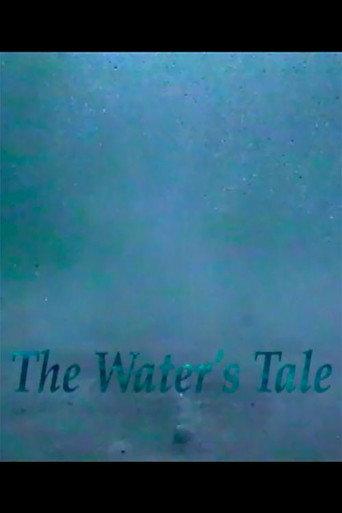 The Water's Tale (1995) poster