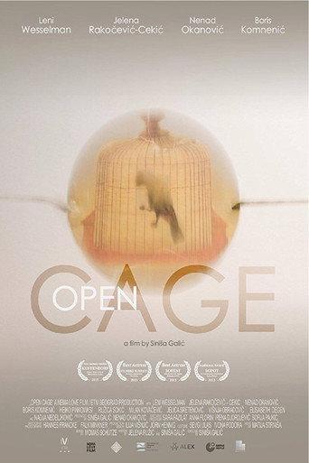 Open Cage (2015) poster