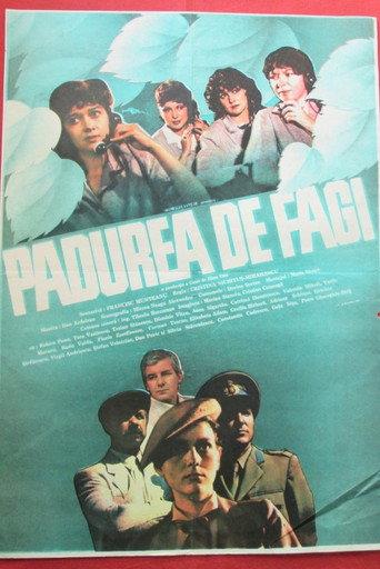 The Beech Forest (1987) poster
