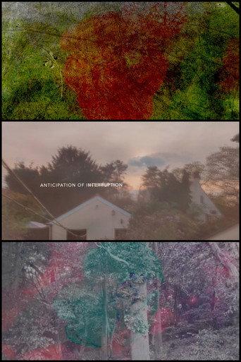 Anticipation of Interruption () poster