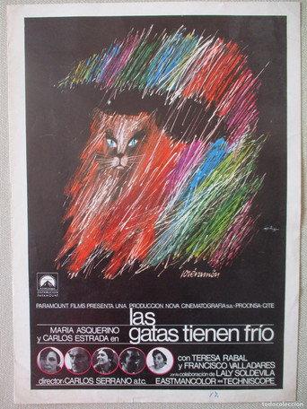 Las gatas tienen frío () poster