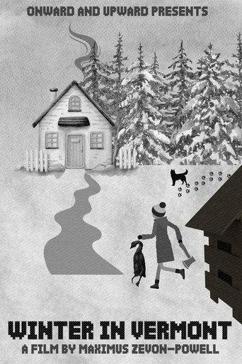 Winter in Vermont () poster