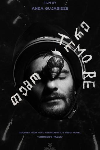 Temo Re (2025) poster