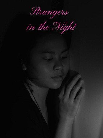 Strangers in the Night (2024) poster