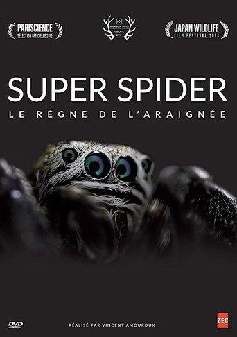 Super Spider (2012) poster