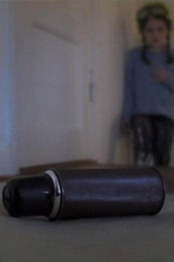 The Thermos (2006) poster
