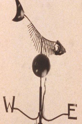 Trout Fly Deep Trout Too (2000) poster